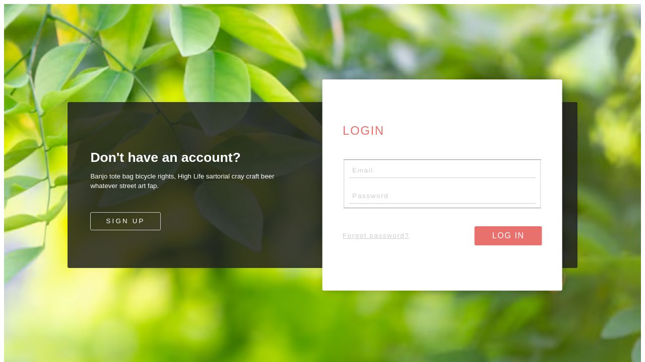 Login Form Example Codepen