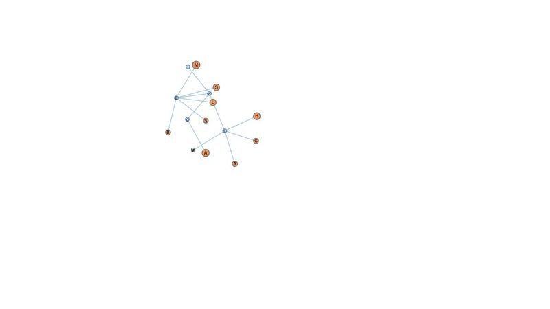 D3 force directed graph with labels