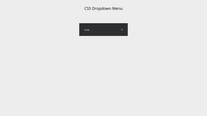 CSS Dropdown Menu
