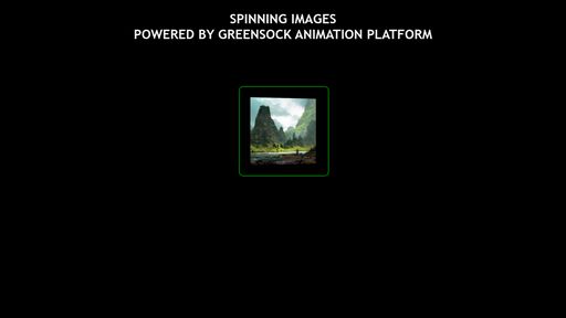 Spinning Images - Script Codes