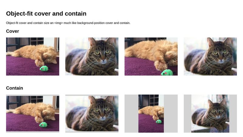 Object-fit cover and contain