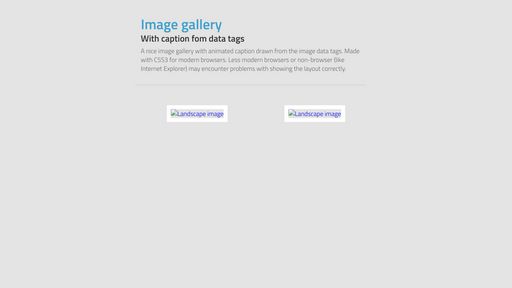 Image gallery with caption - Script Codes