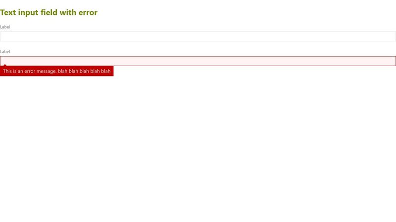 Text input field with error