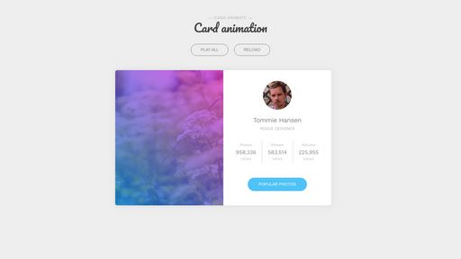 Cash.animate, card animation - Script Codes