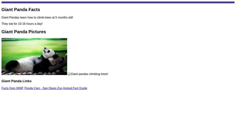 All About Pandas All About Pandas