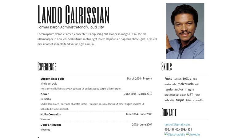 Responsive Resume