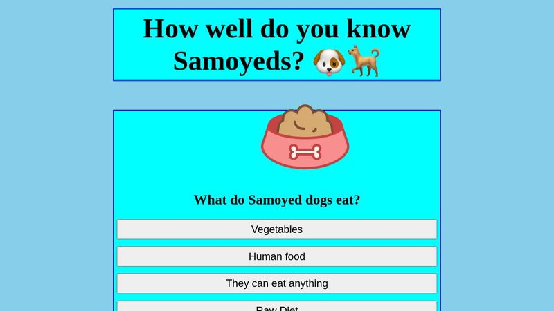 interactive quiz - HTML & CSS