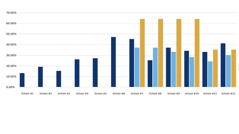 Complex Bar Chart - CSS Grid