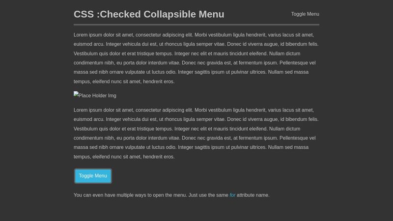CSS :Checked Collapsible Menu