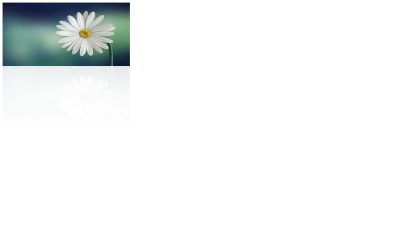 CSS Image Reflection