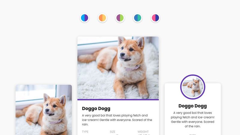 CSS Grid: Card Variations image.