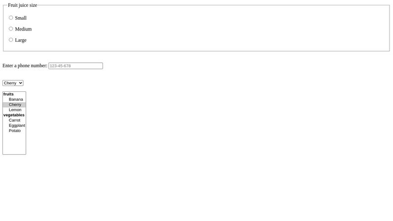HTML Form Examples