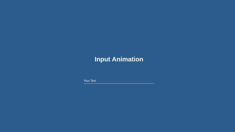 Input Animation