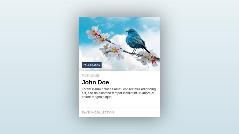 HTML Card