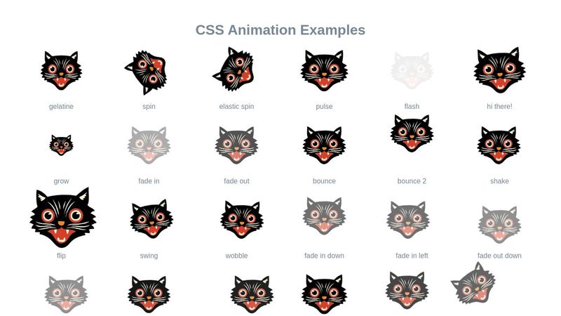 CSS Animation Examples