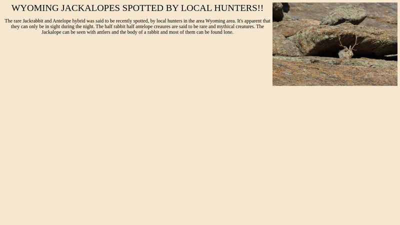 Hoax Website hoax-website