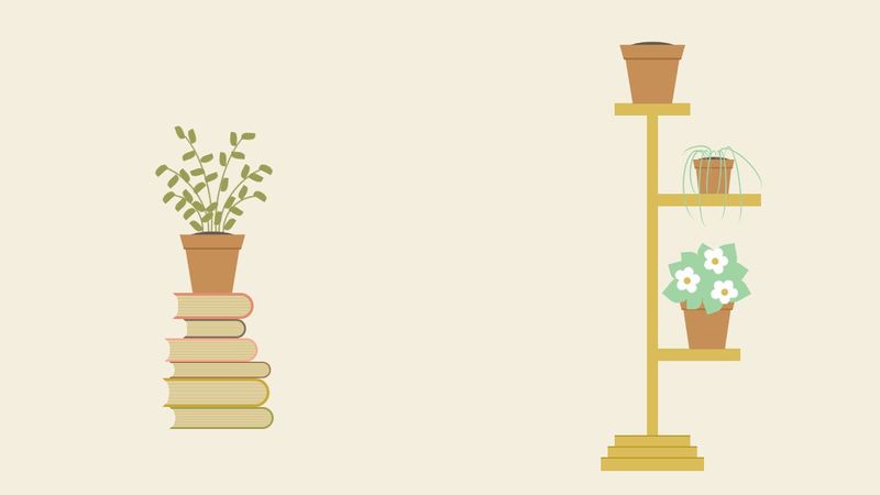 CSS-Only Potted Plant on a Pile of Books