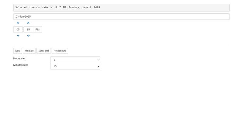 Date / Time picker sample