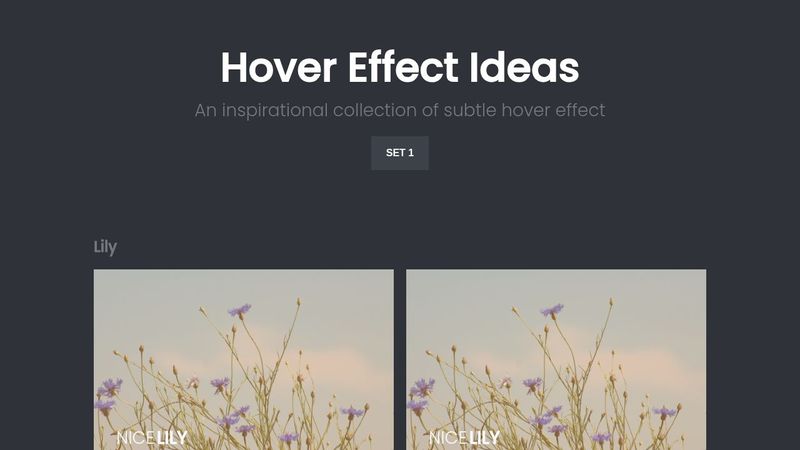 Hover Effect HTML/CSS
