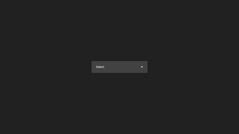 Custom Select Pure CSS!