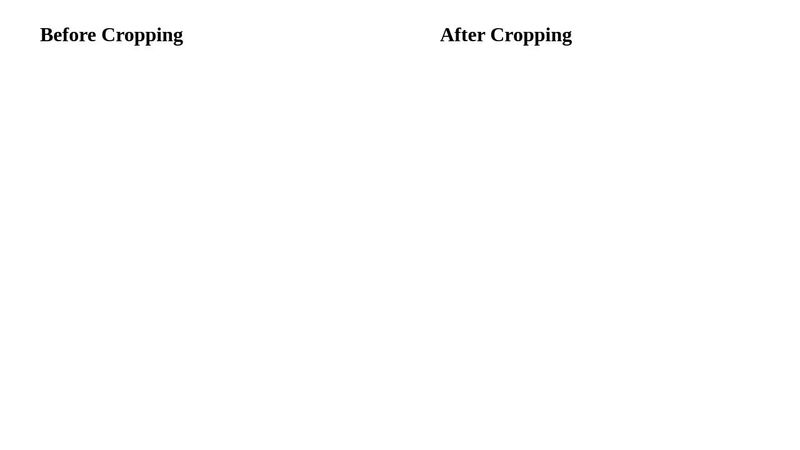 Cropping Images with CSS