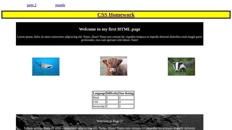 Week 2 CSS Homework