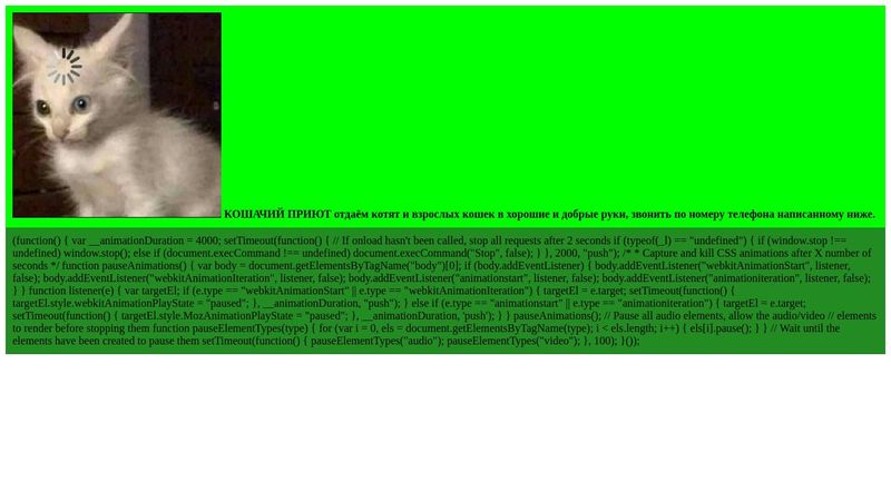 A Pen by Oksana