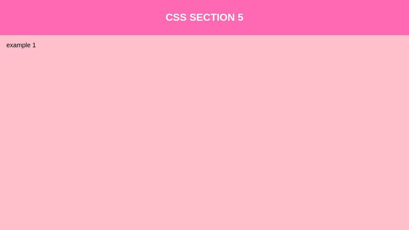 css section 5