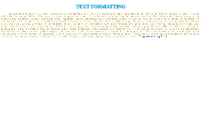 CSS Text