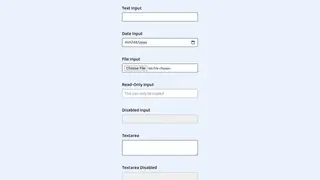Custom Form Input Styling with CSS