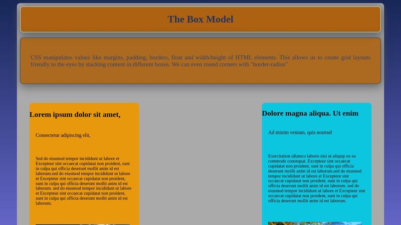 CSS - Box Model Layout