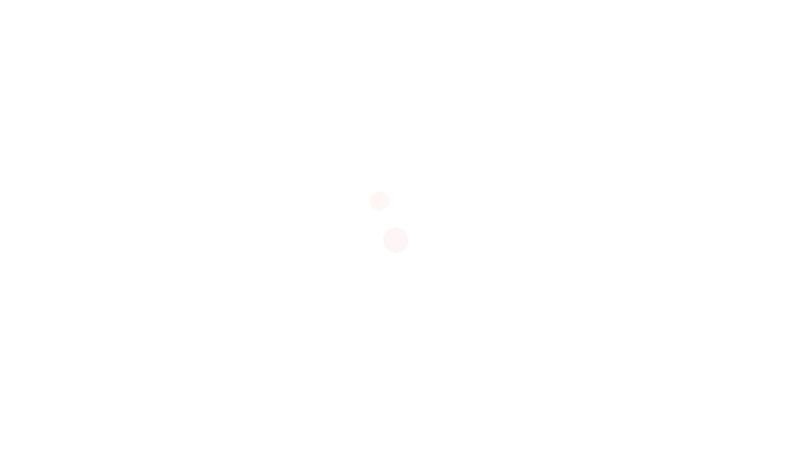CSS Orbit Loader