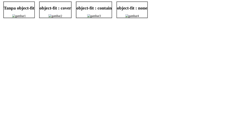 CSS : Object Fit Cover