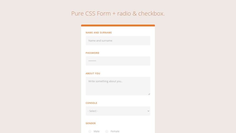 _form | CSS only styled form