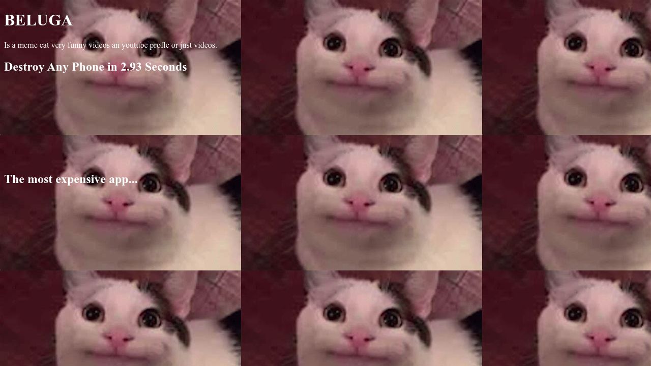 Beluga edit w/ hearts  Cute cat memes, Funny cat wallpaper, Cute memes