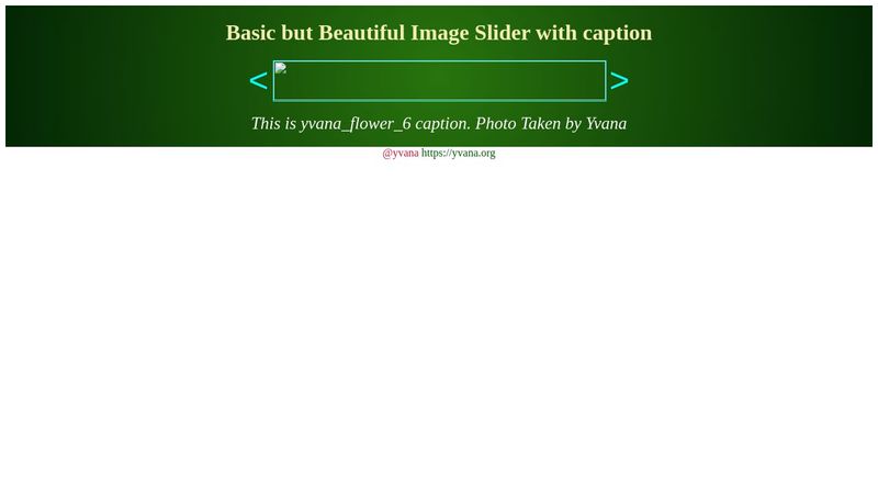 A simple Image Slider with captions using HTML CSS and JavaScript.
