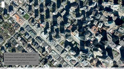 &gt;VectorTileLayer - update style &amp; filter Error | ArcGIS Maps SDK for JavaScript 4.30