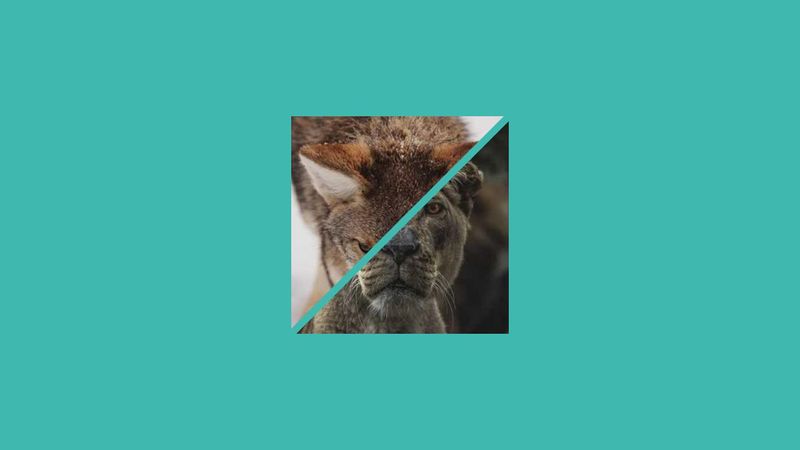 Dual image with hover effect