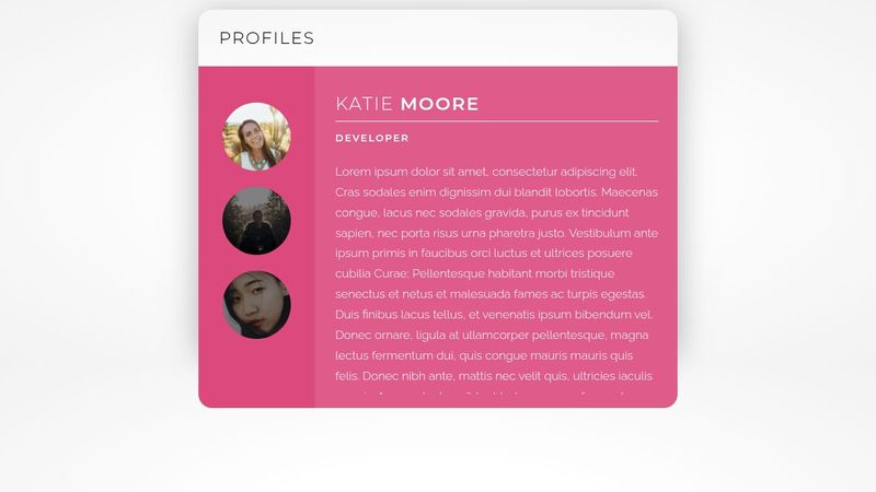 Pure HTML/CSS Profile Selector