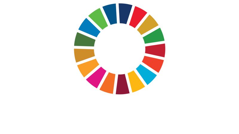 Spinning SDG Wheel