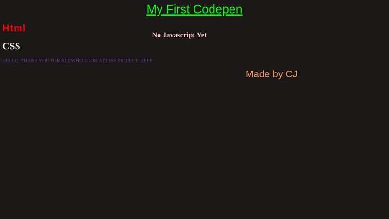 First-Codepen-Project.
