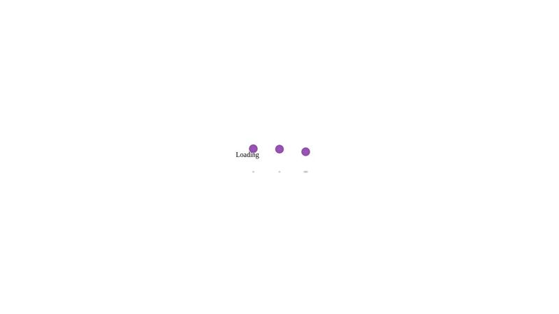 CSS Loading Animation