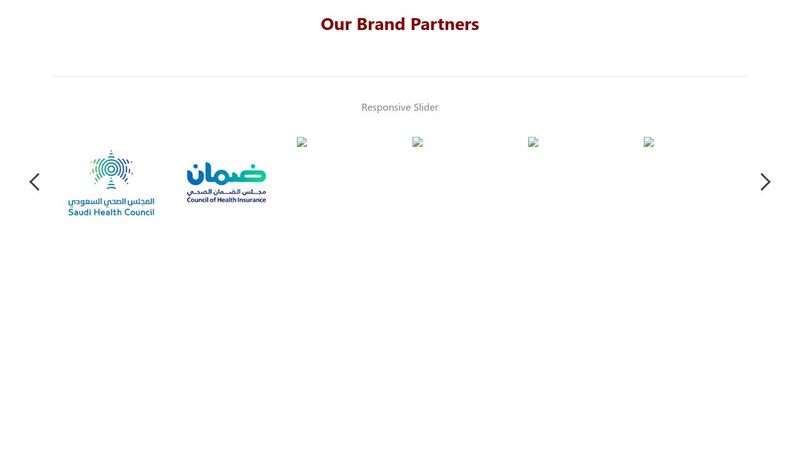 Website Brand Partner Logo Slider Responsive HTML CSS JS Bootstrap