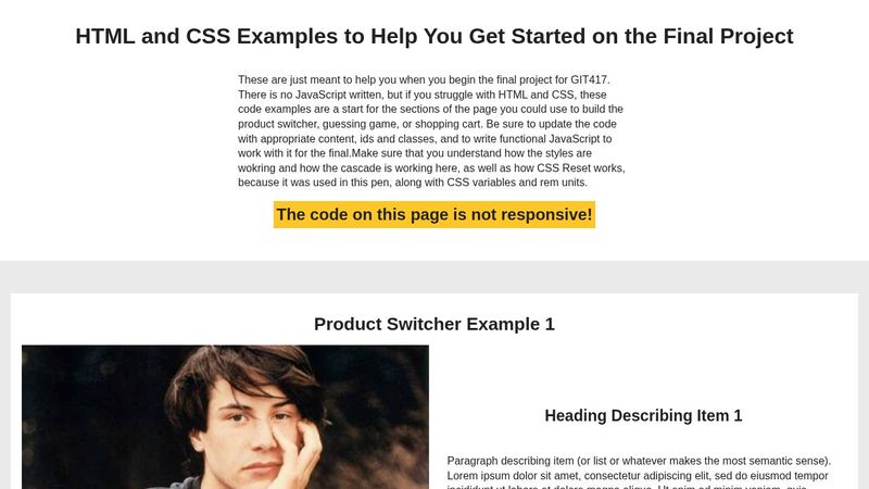 GIT417 Final Project HTML/CSS Starter Code Examples