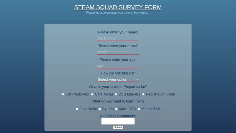 HTML + CSS Survey Form