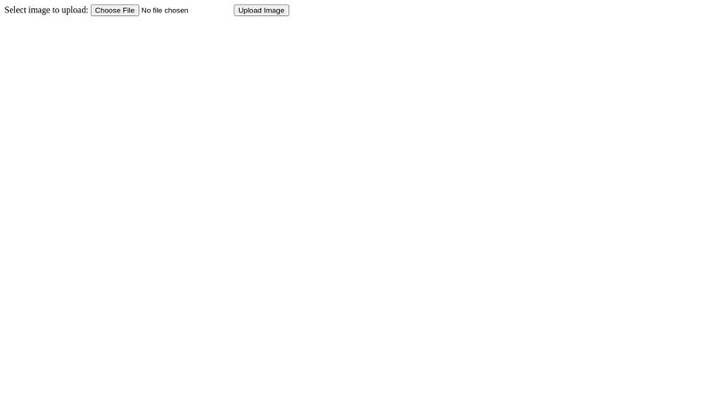 HTML Form File Upload Example