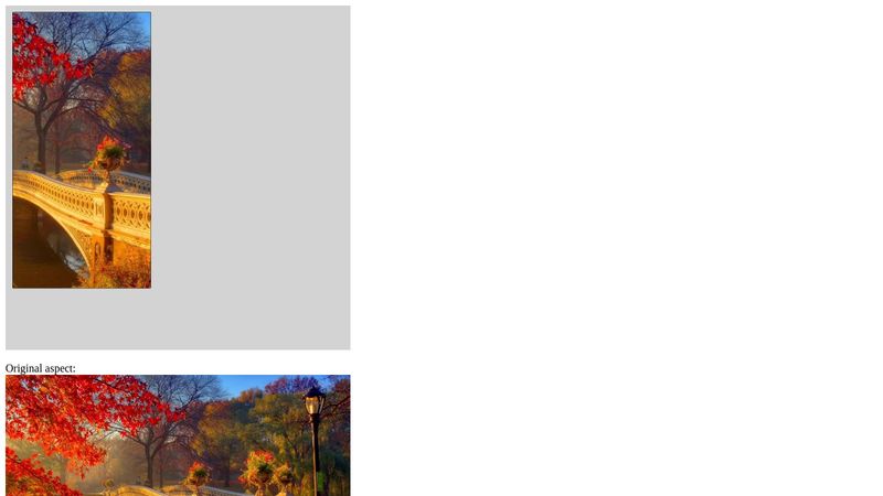 Fabric.js - Cover rect with image