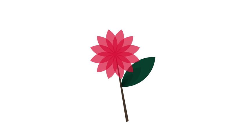 A simple flower: Pure CSS