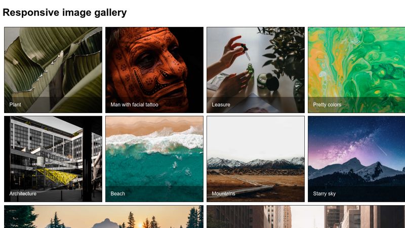 Responsive Image gallery with Flexbox