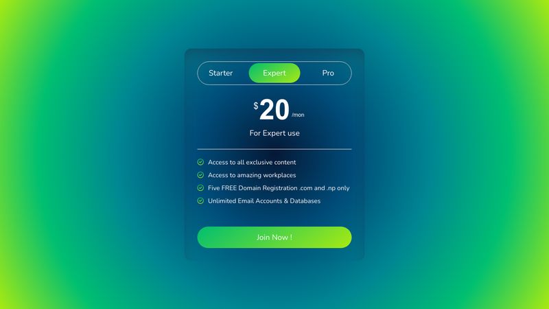 Animated Pricing Card - by @iam_chonchol